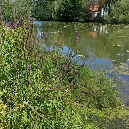 Bienvenue Au Bord De Meuse