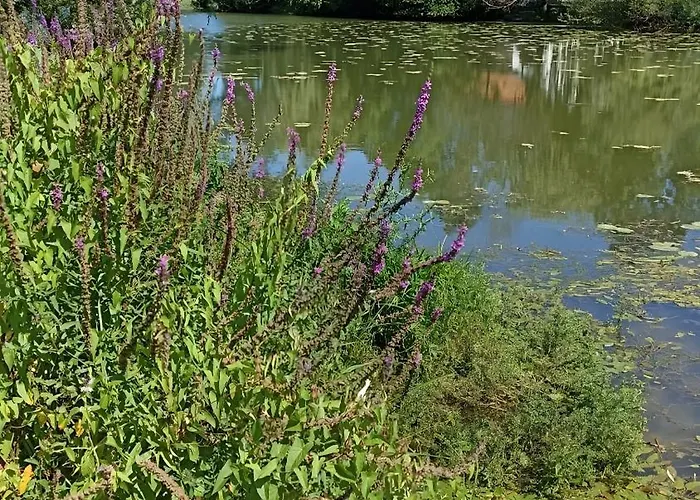 Bienvenue Au Bord De Meuse