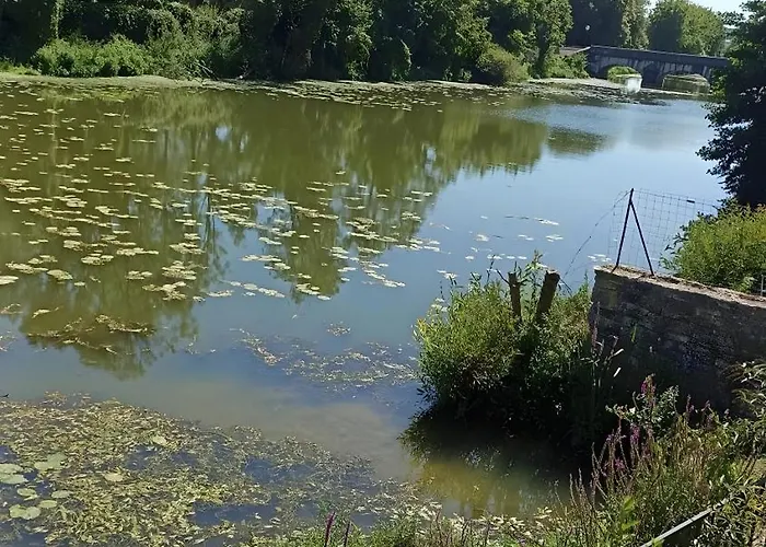 Appartement Bienvenue Au Bord De Meuse Bazoilles-sur-Meuse